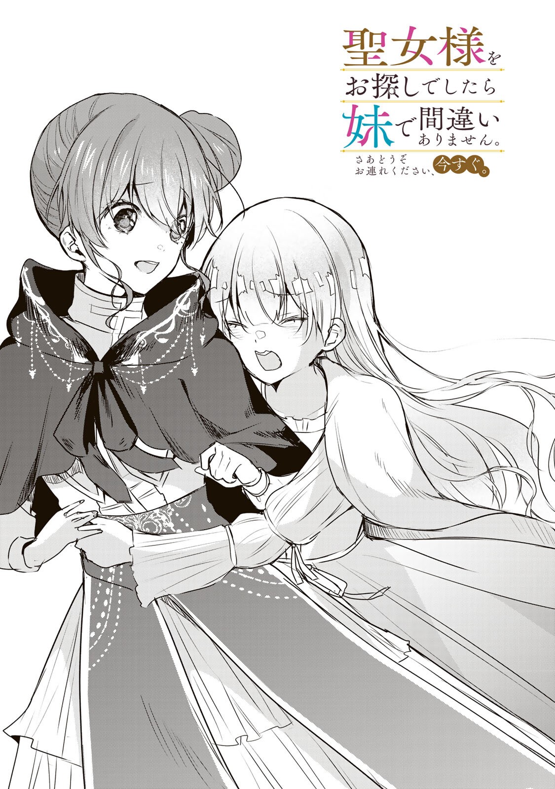 聖女様をお探しでしたら妹で間違いありません。さあどうぞお連れください、今すぐ。 第41.1話 - Page 2