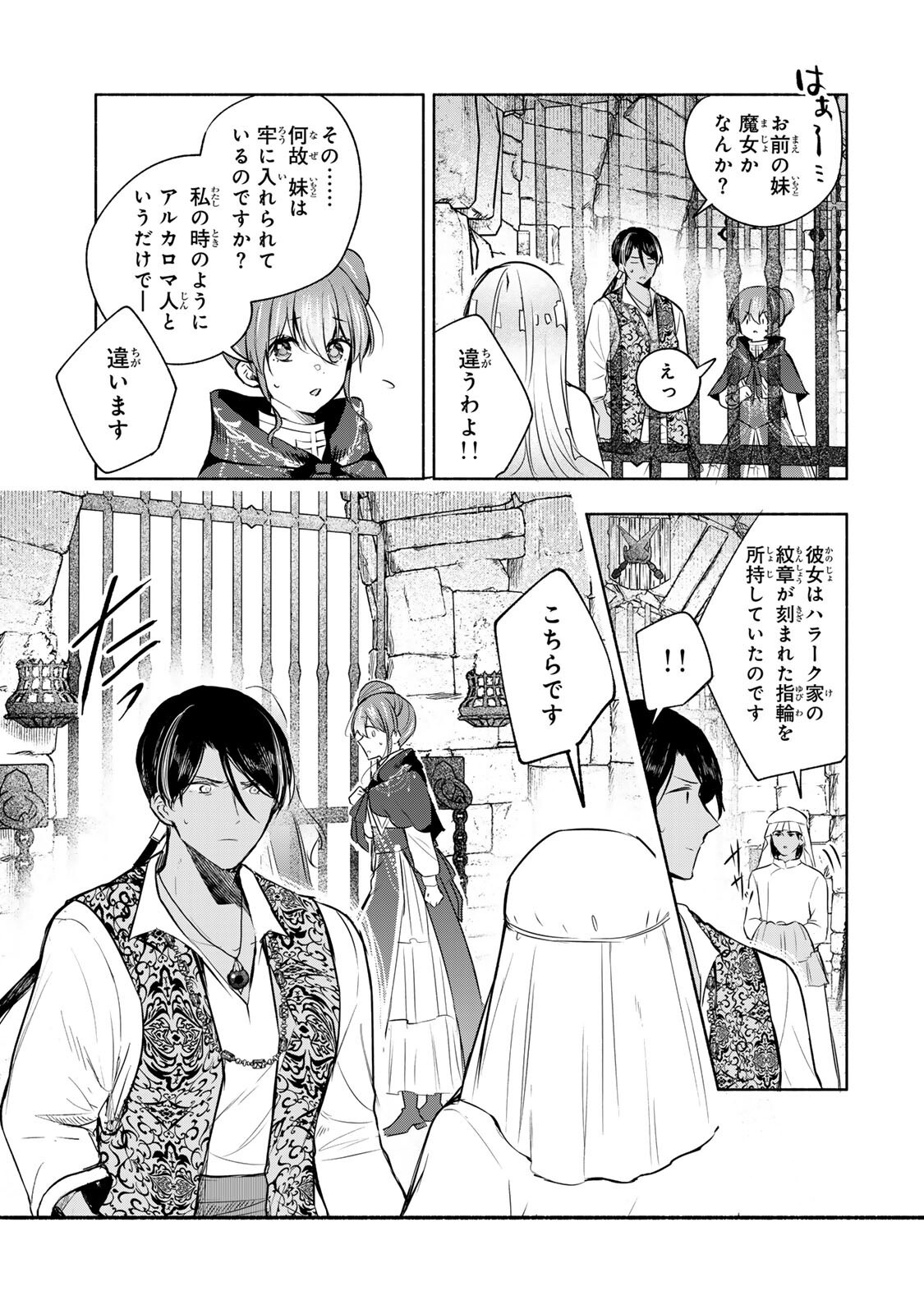 聖女様をお探しでしたら妹で間違いありません。さあどうぞお連れください、今すぐ。 第41.1話 - Page 8
