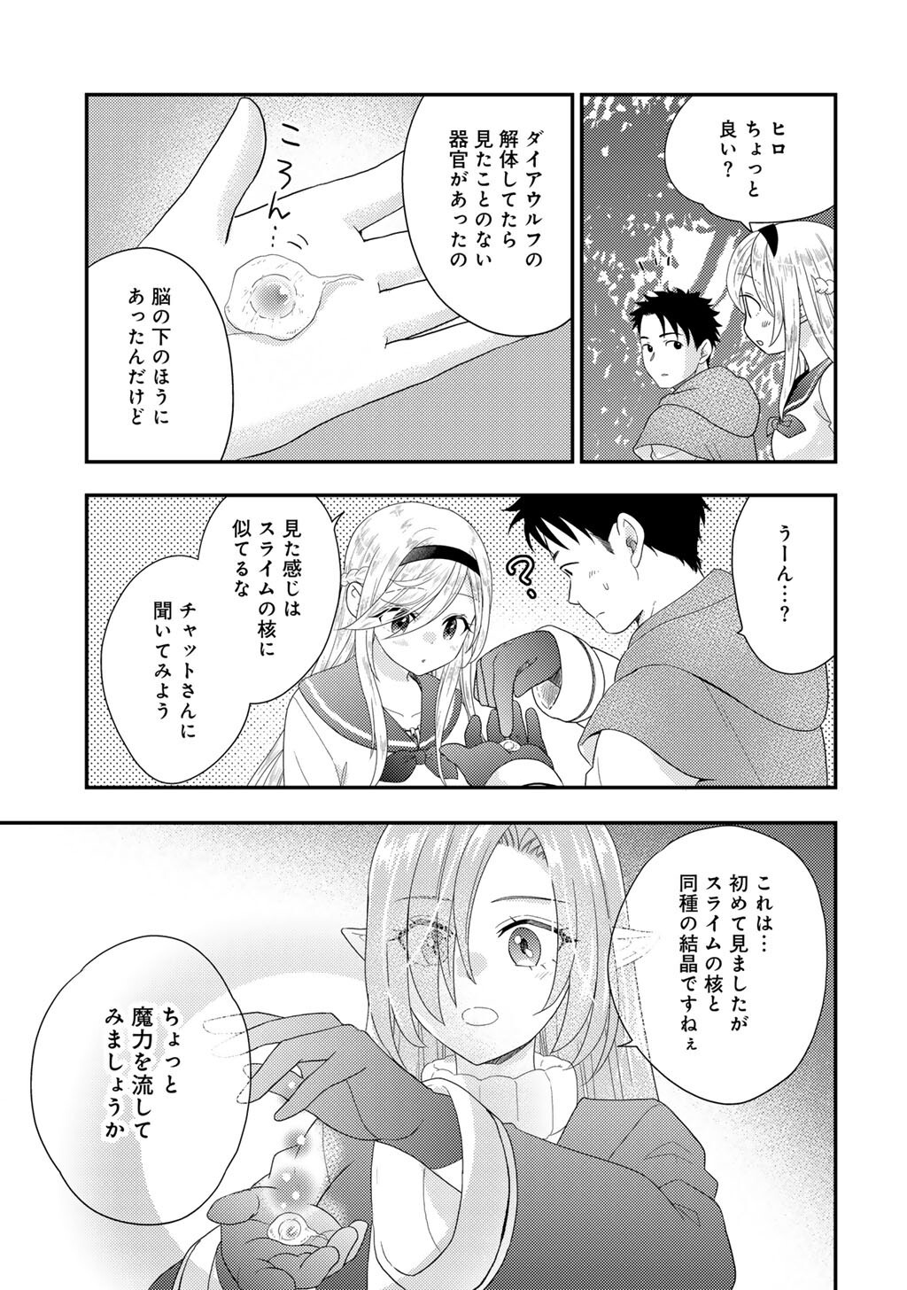 異世界に来たみたいだけど如何すれば良いのだろう 社畜 のマイペース冒険記 第41話 - Page 13