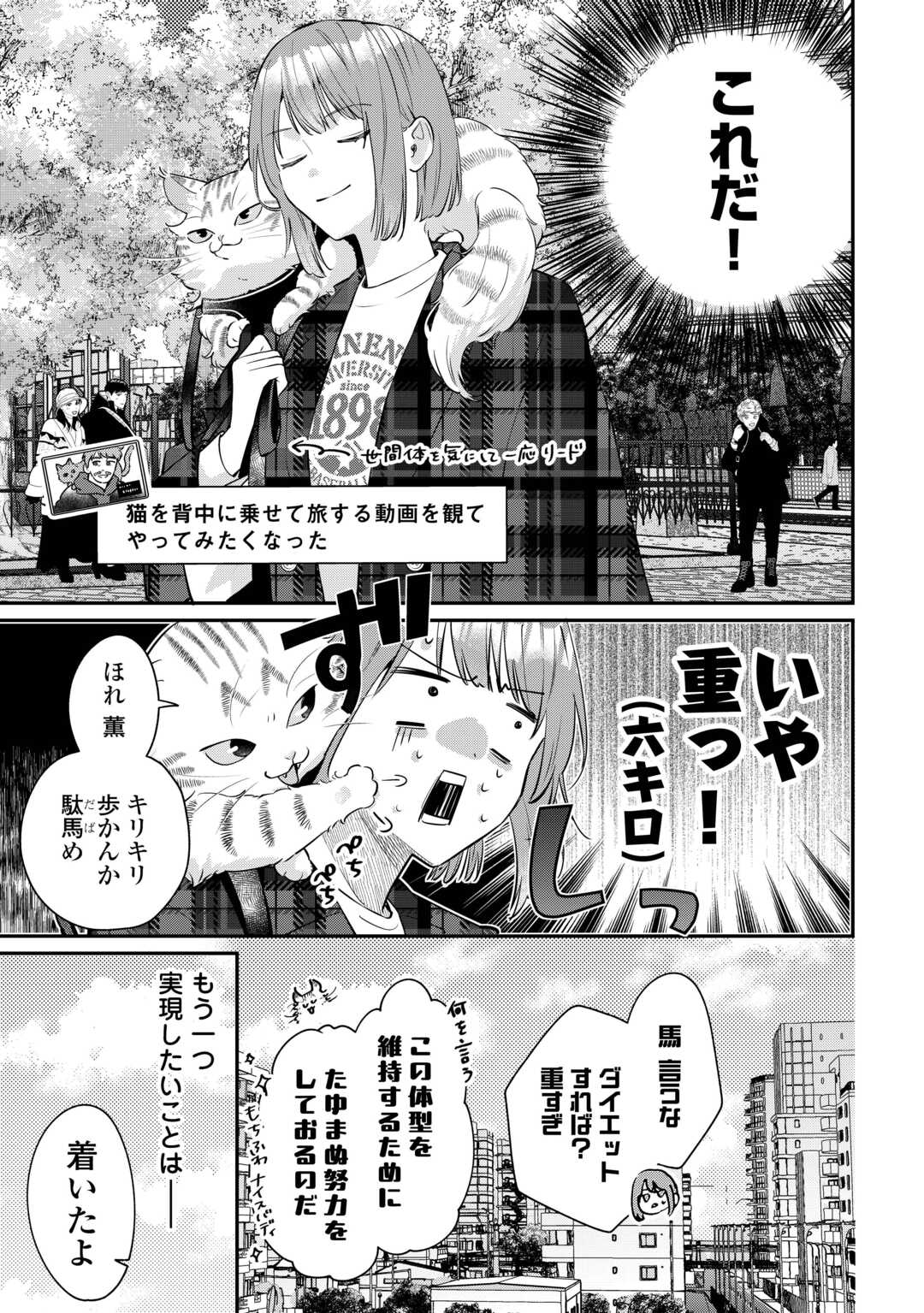 拾ったのが本当に猫かは疑わしい 第4.1話 - Page 5
