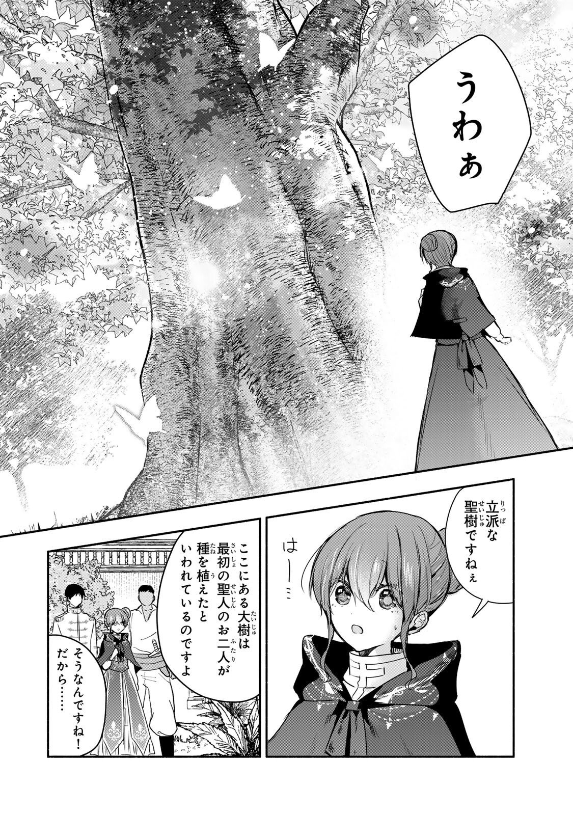 聖女様をお探しでしたら妹で間違いありません。さあどうぞお連れください、今すぐ。 第44.2話 - Page 9