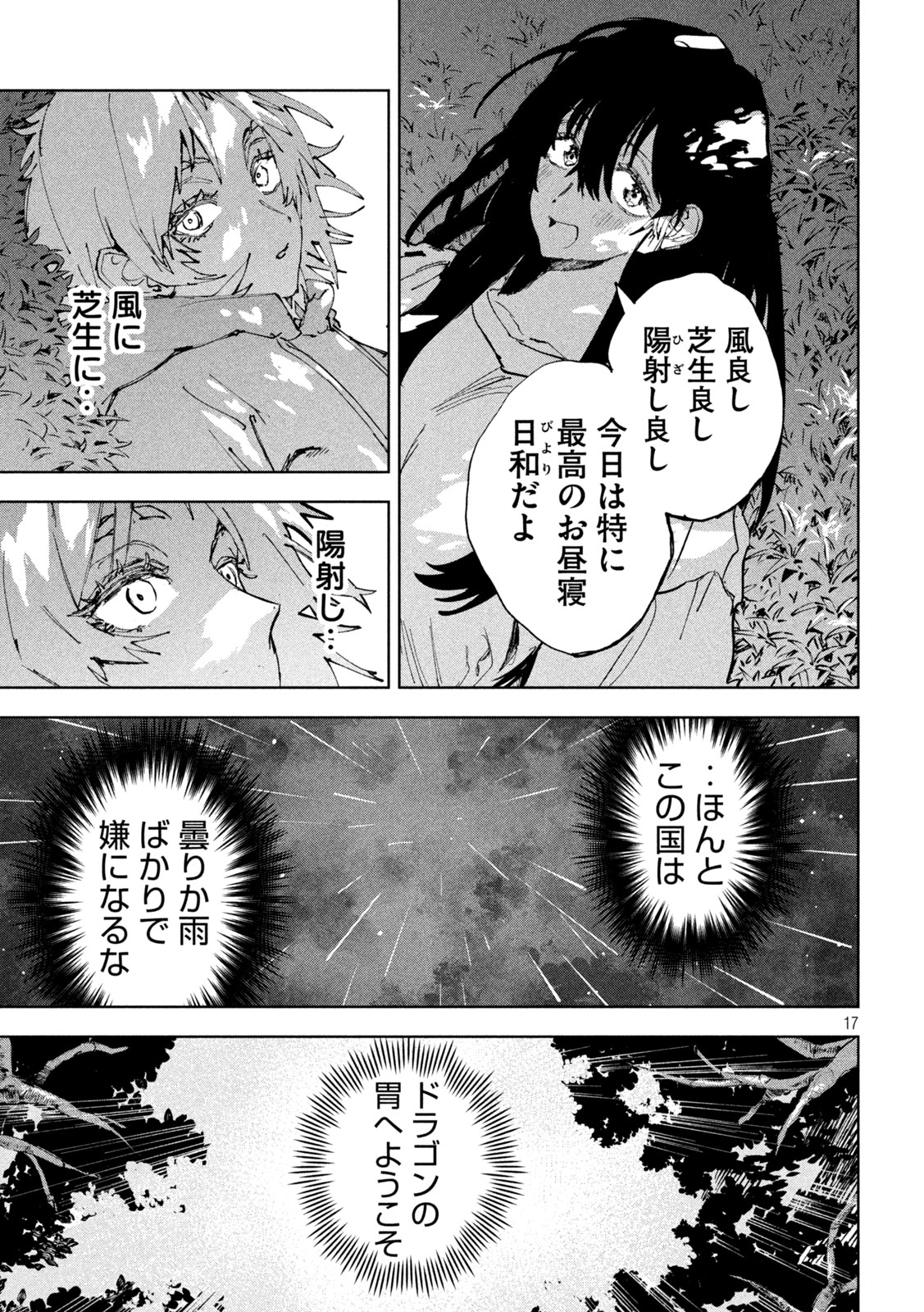 ドラゴンの胃でおやすみ 第14話 - Page 17