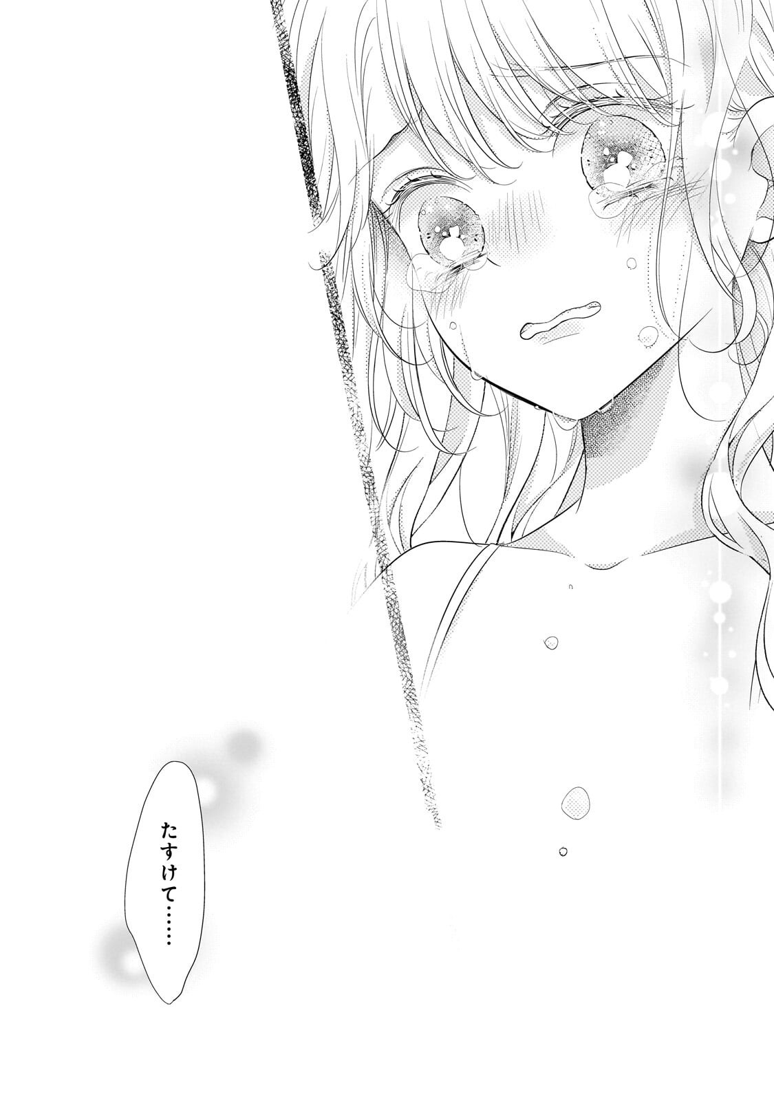 仕事人間な伯爵令嬢は氷の宰相様の愛を見誤っている 第17.1話 - Page 6