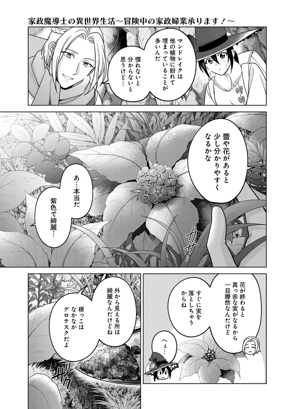 家政魔導士の異世界生活 冒険中の家政婦業承ります 第63.2話 - Page 3
