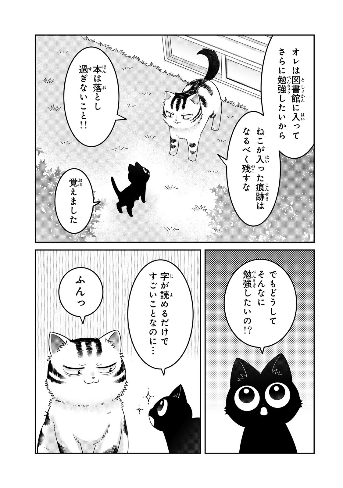 ルドルフとイッパイアッテナ 第8話 - Page 17