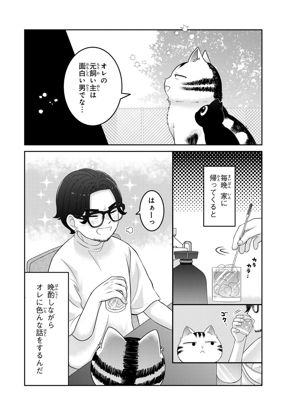 ルドルフとイッパイアッテナ 第8話 - Page 2