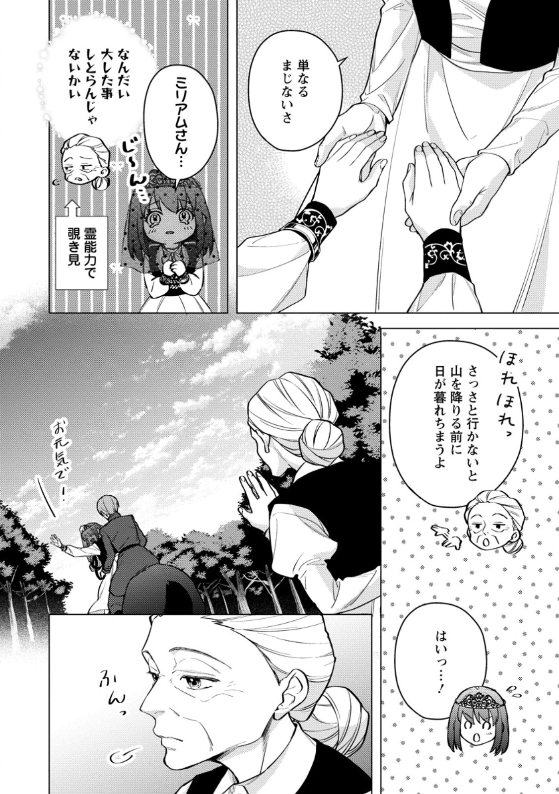 ヴェールの聖女 ヴェールの聖女 醜いと誤解された聖女、イケメン護衛騎士に溺愛される 第27.1話 - Page 8