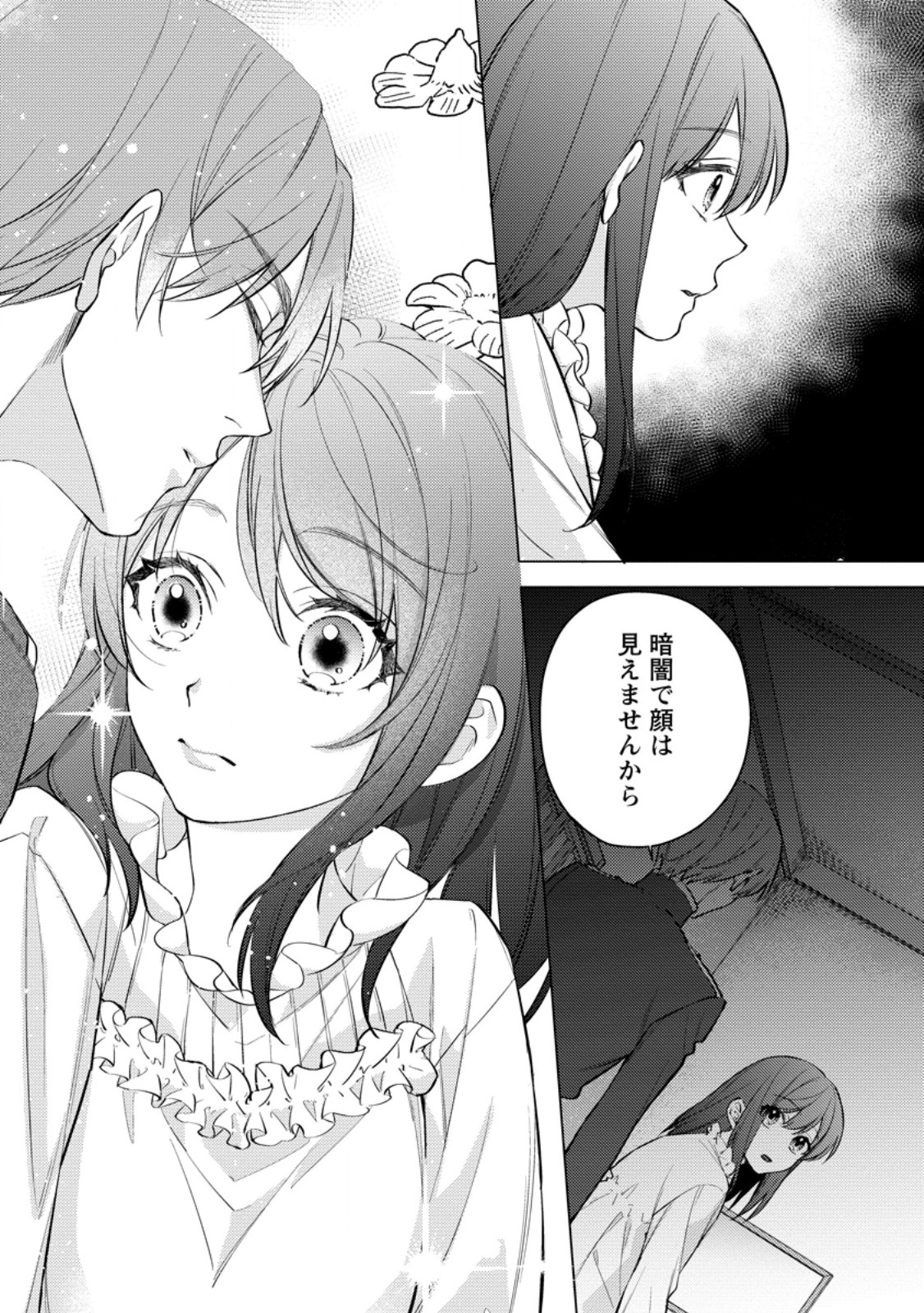 ヴェールの聖女 ヴェールの聖女 醜いと誤解された聖女、イケメン護衛騎士に溺愛される 第27.1話 - Page 4