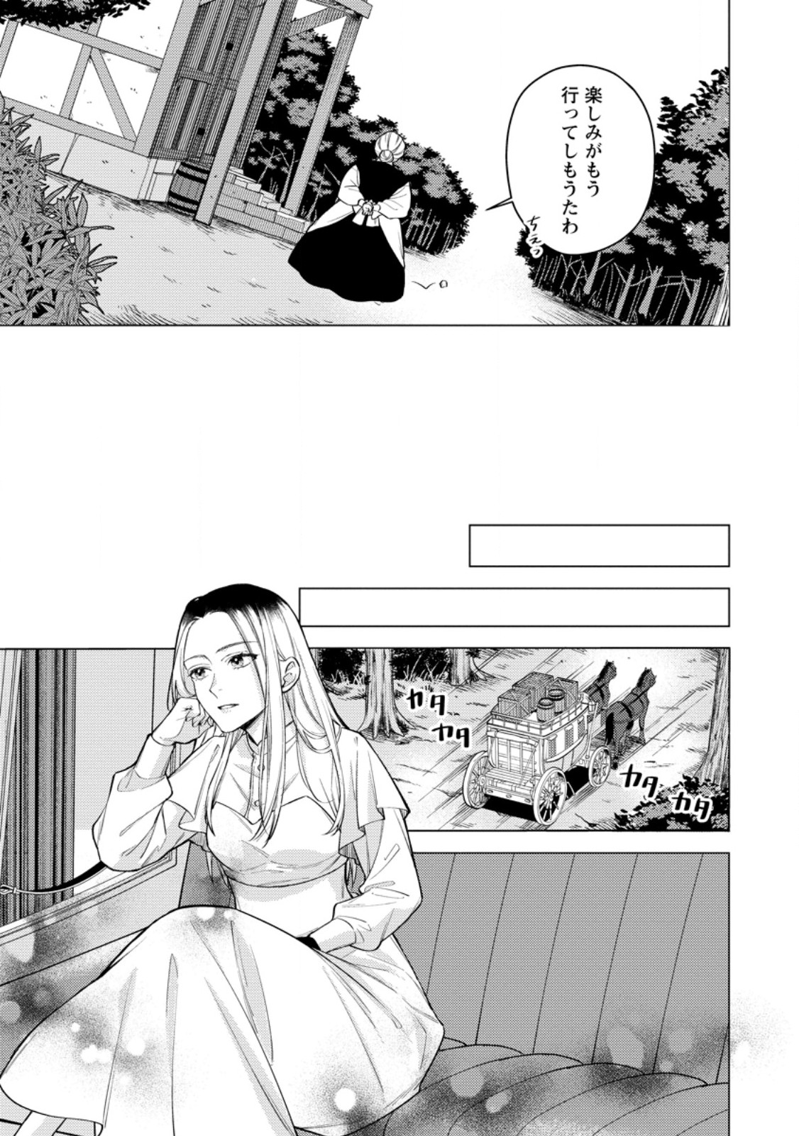 ヴェールの聖女 ヴェールの聖女 醜いと誤解された聖女、イケメン護衛騎士に溺愛される 第27.1話 - Page 9