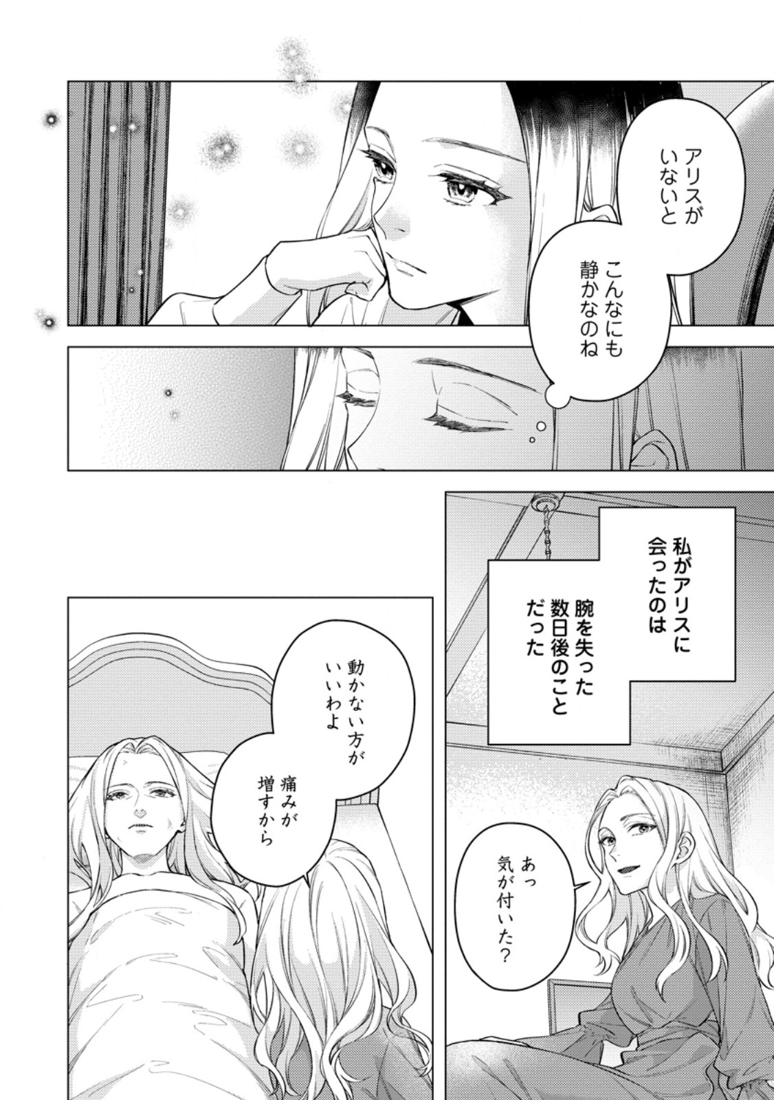 ヴェールの聖女 ヴェールの聖女 醜いと誤解された聖女、イケメン護衛騎士に溺愛される 第27.1話 - Page 10
