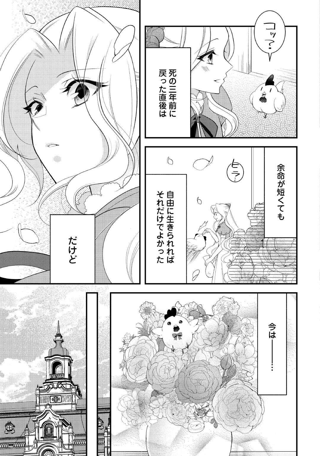 死んだ王妃は二度目の人生を楽しみます ーお飾りの王妃は必要ないのでしょう ー 第17話 - Page 3