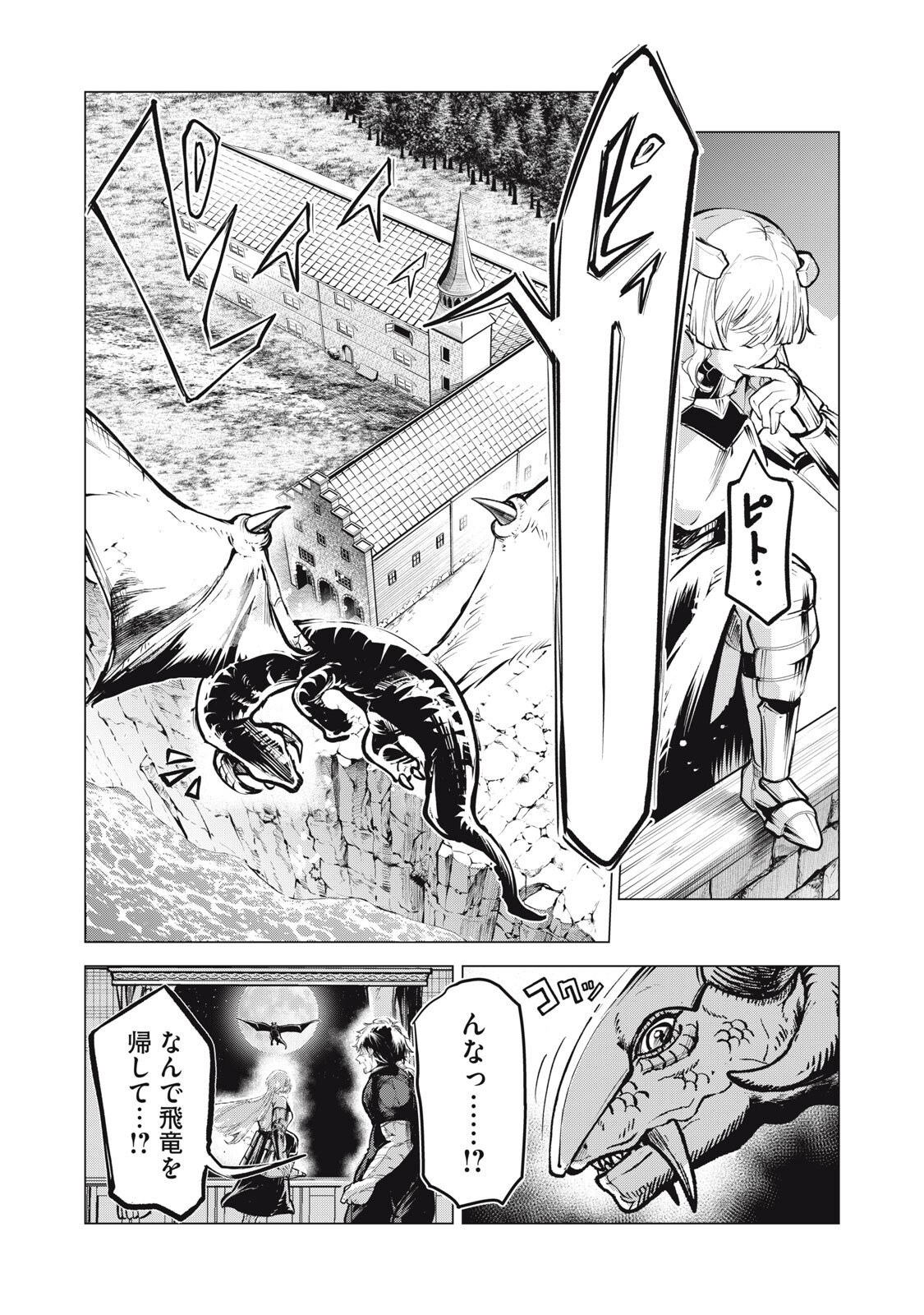 国を追われた竜師さん、拾われた隣国でうっかり無双してしまう。〜弱小国家が大陸最強の竜の楽園になるまで〜 第44話 - Page 11