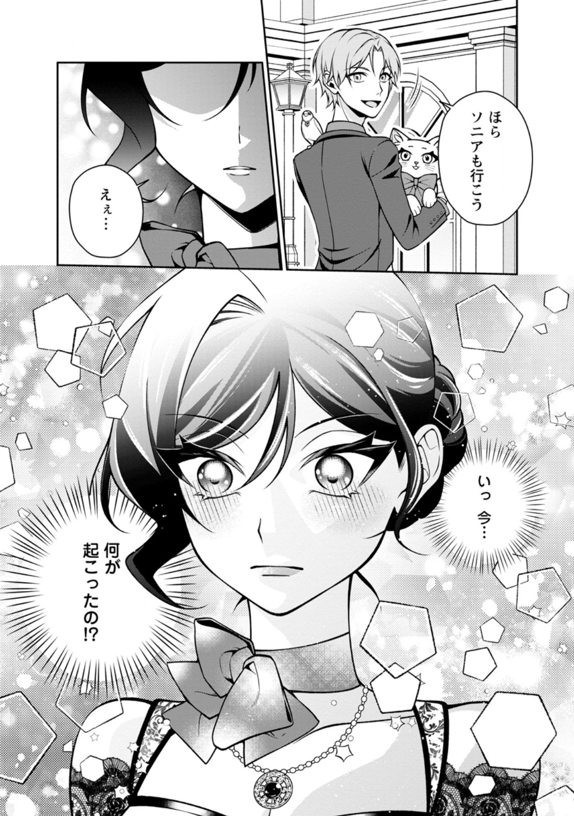 幸せに暮らしてますので放っておいてください 第19.3話 - Page 10