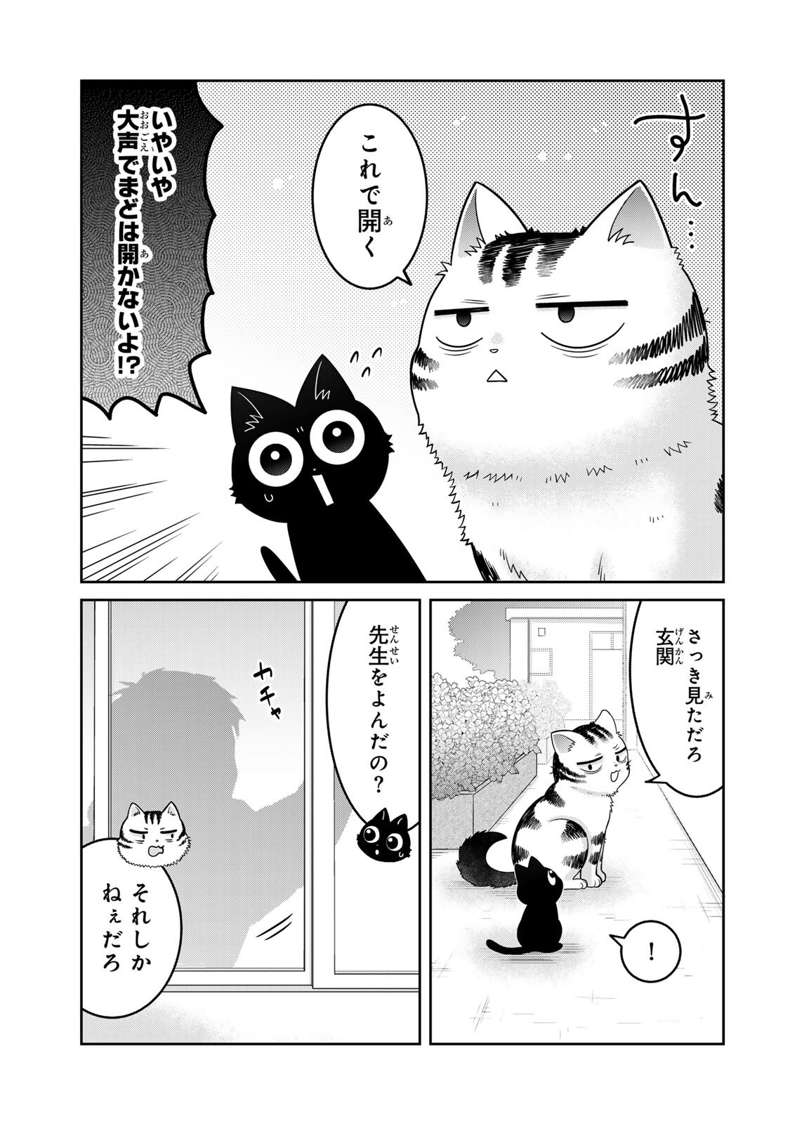 ルドルフとイッパイアッテナ 第9話 - Page 11
