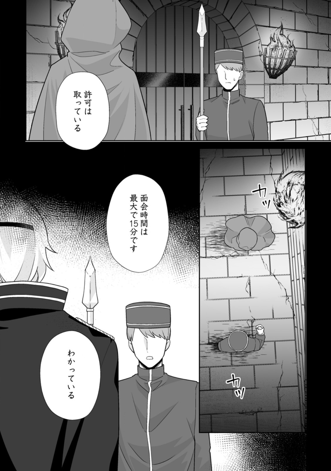 身代わりで縁談に参加した愚妹の私、隣国の王子様に見初められました 第15.3話 - Page 9