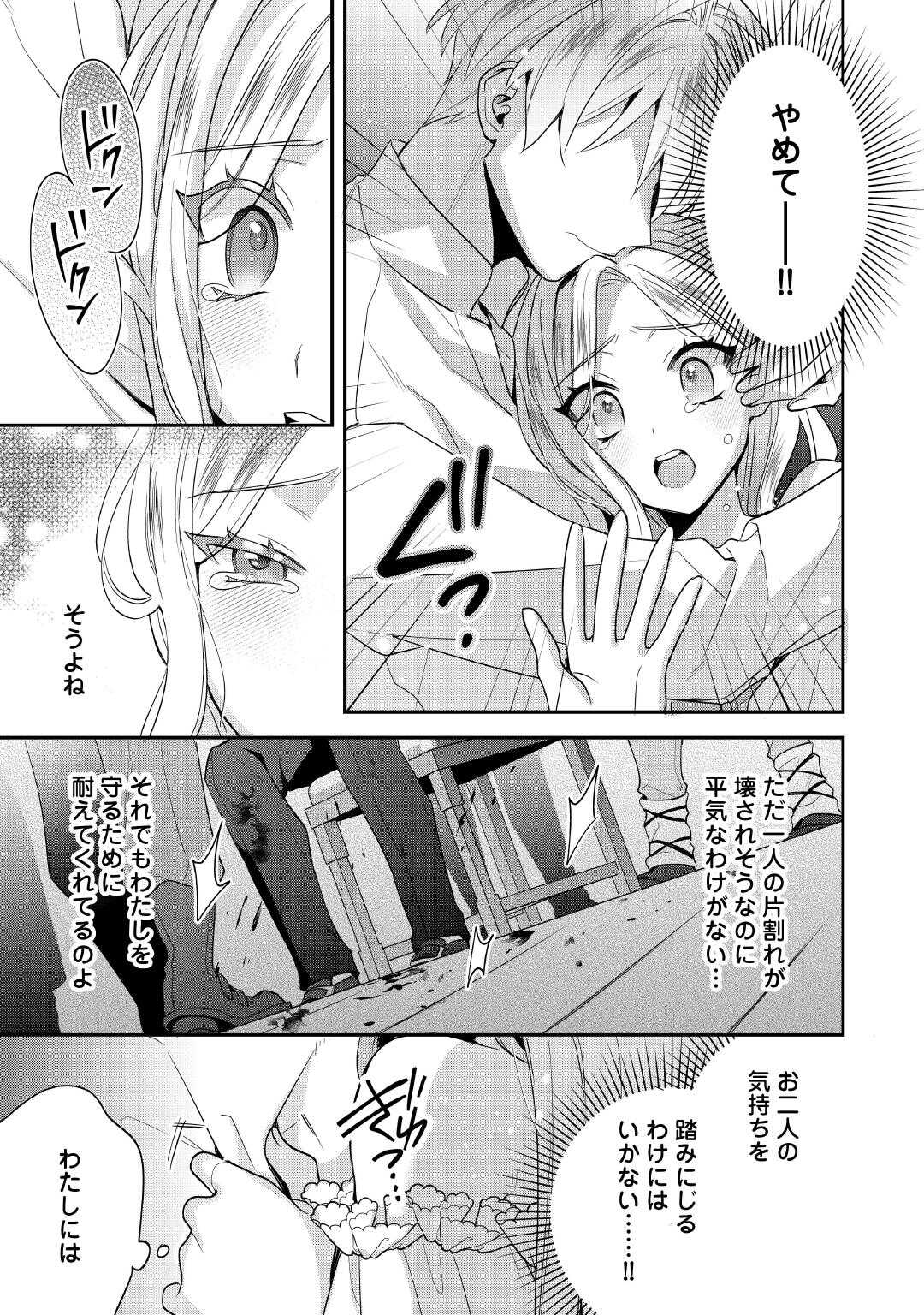 重婚なんてお断り 絶対に双子の王子を見分けてみせます 第15.2話 - Page 5