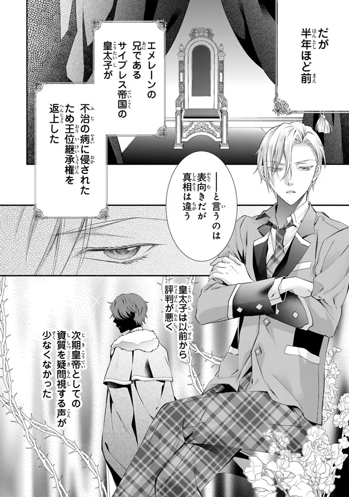 婚約破棄されたいので素顔を隠して残念令嬢になります 第10話 - Page 3