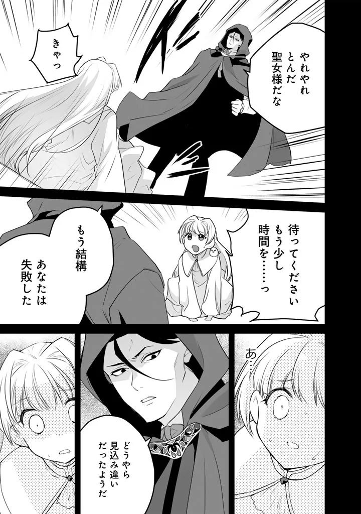 呪われたモフモフと追放聖女のもぐもぐ辺境暮らし 第6.5話 - Page 10